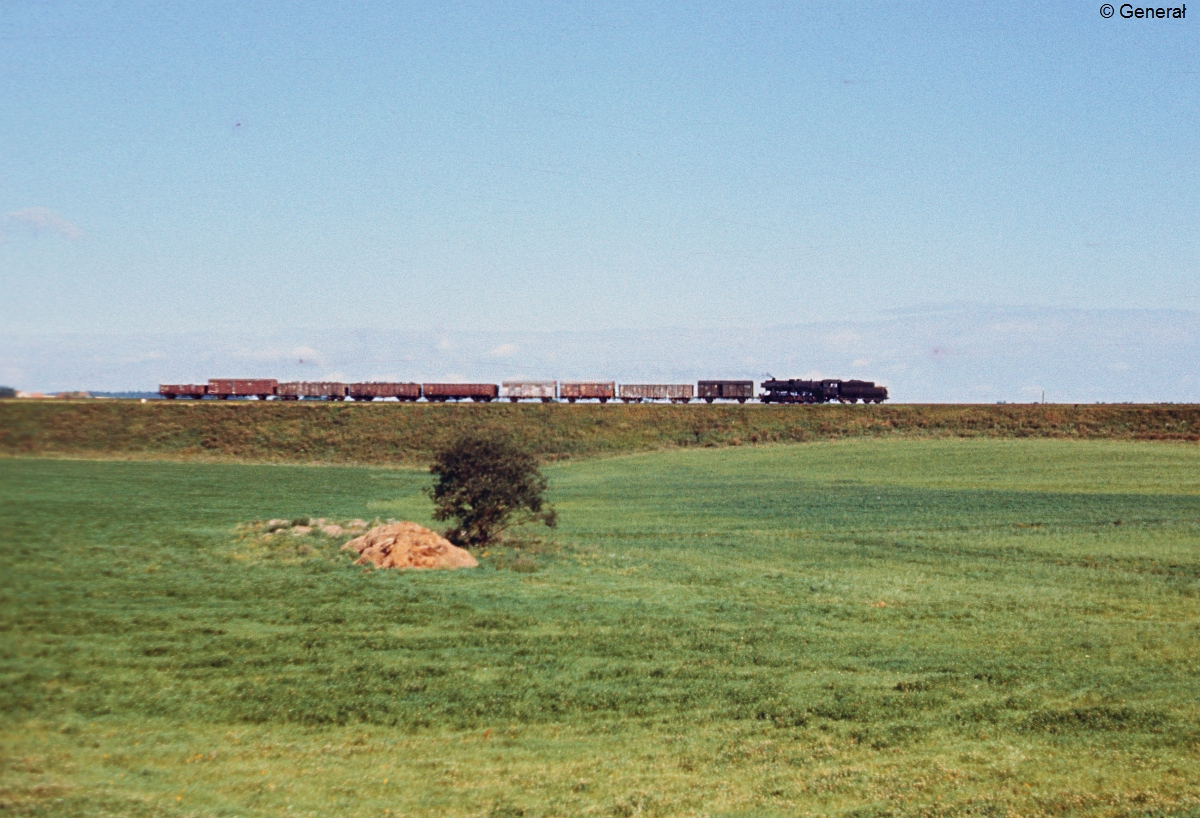 Zbiorowy do Czerwonki