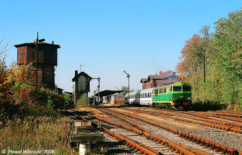 Zielona Suka z Wawelem