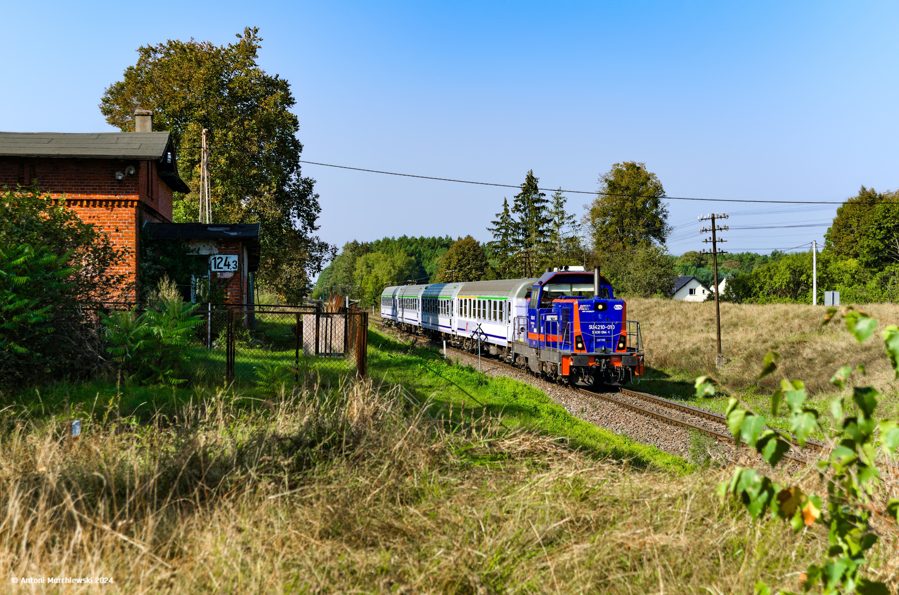 Ciemniki