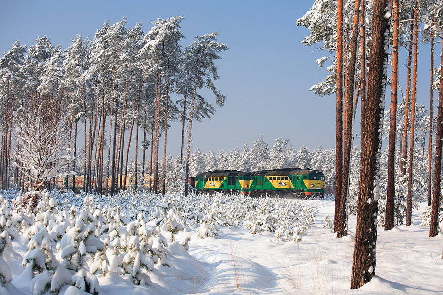 Puszcza Sandomierska zimą