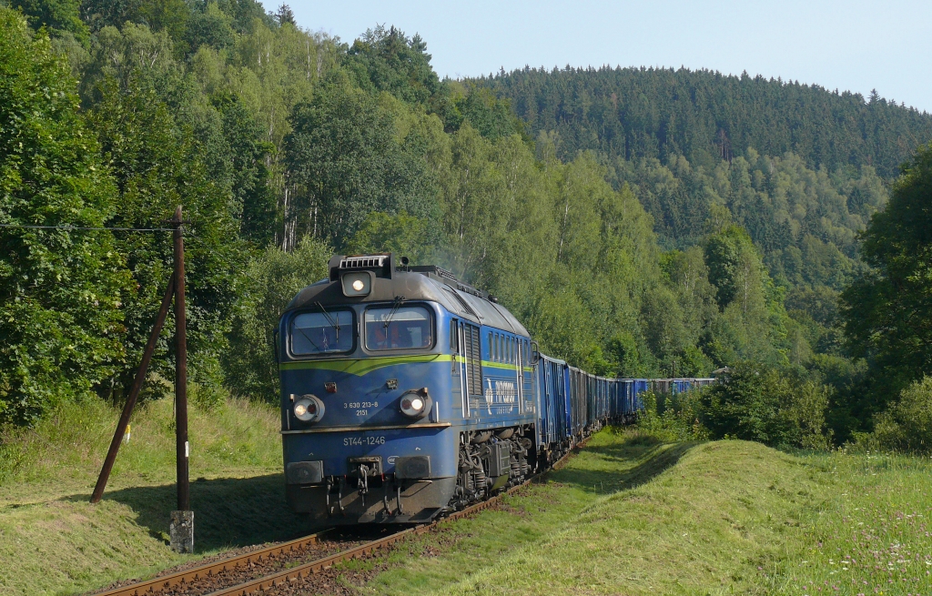 ST44-1246
