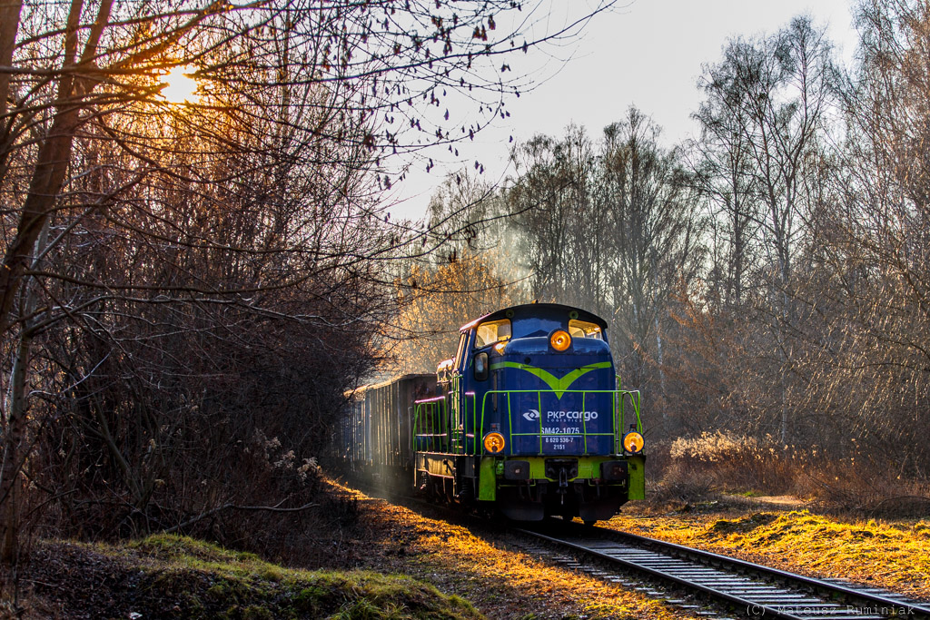 Mroźny, słoneczny poranek na WMH