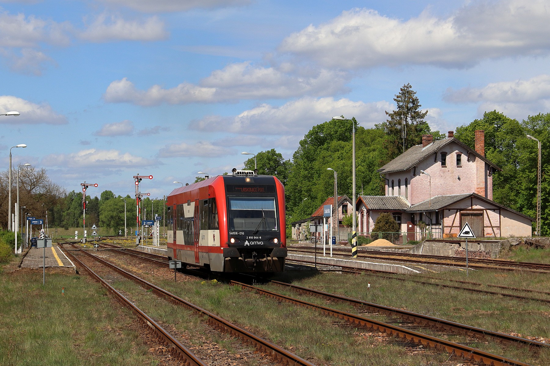 Majówkowa Szlachta