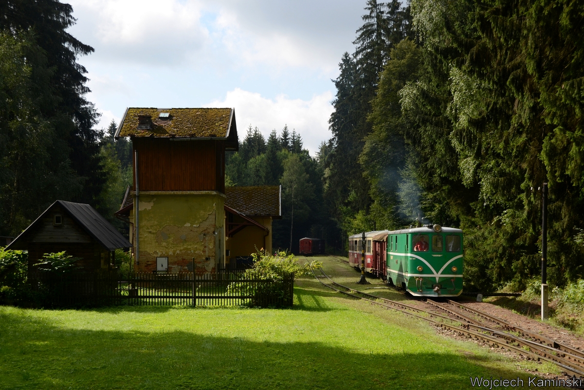 Krzyżowanie w Strizovicach