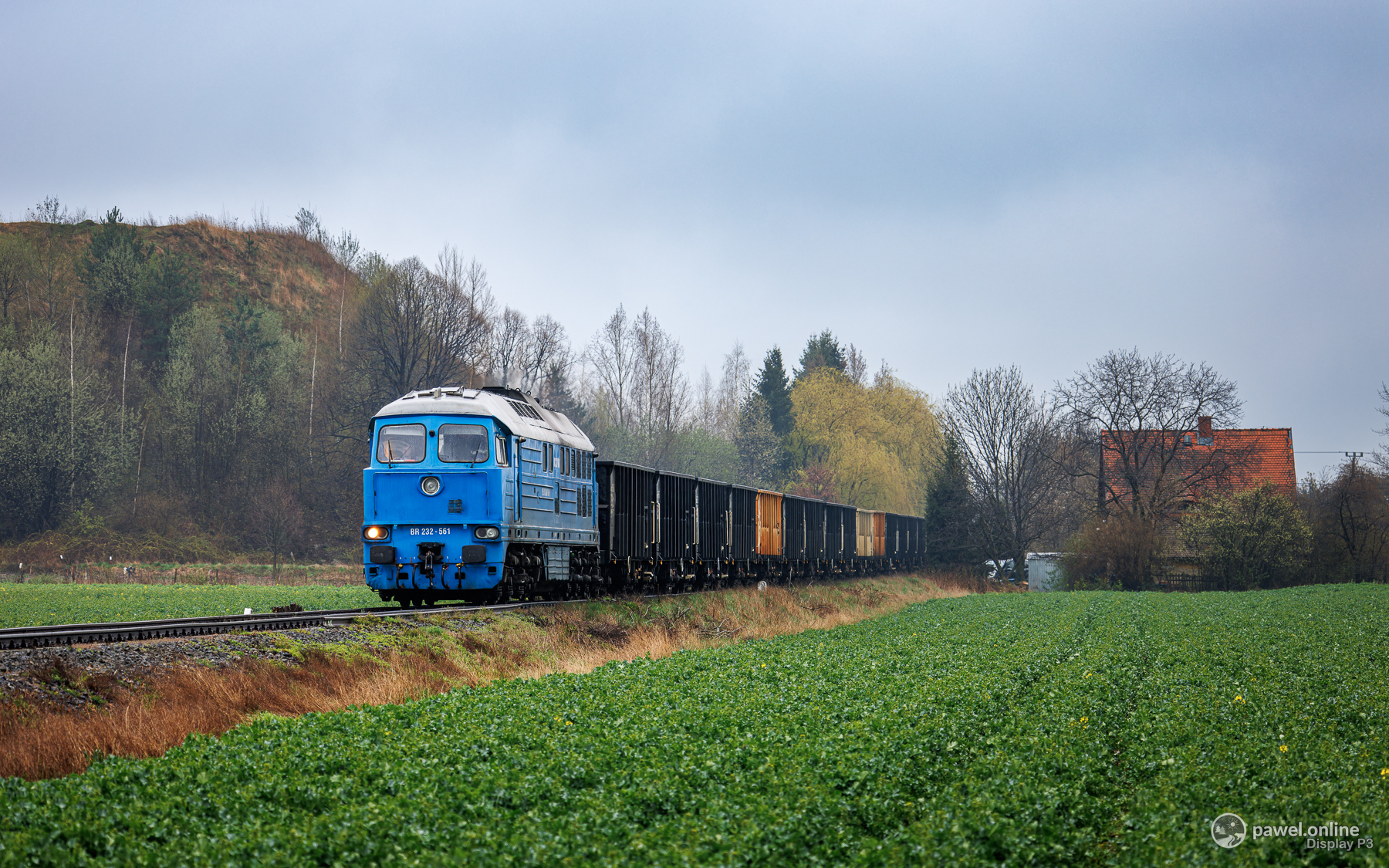 BR232-561
