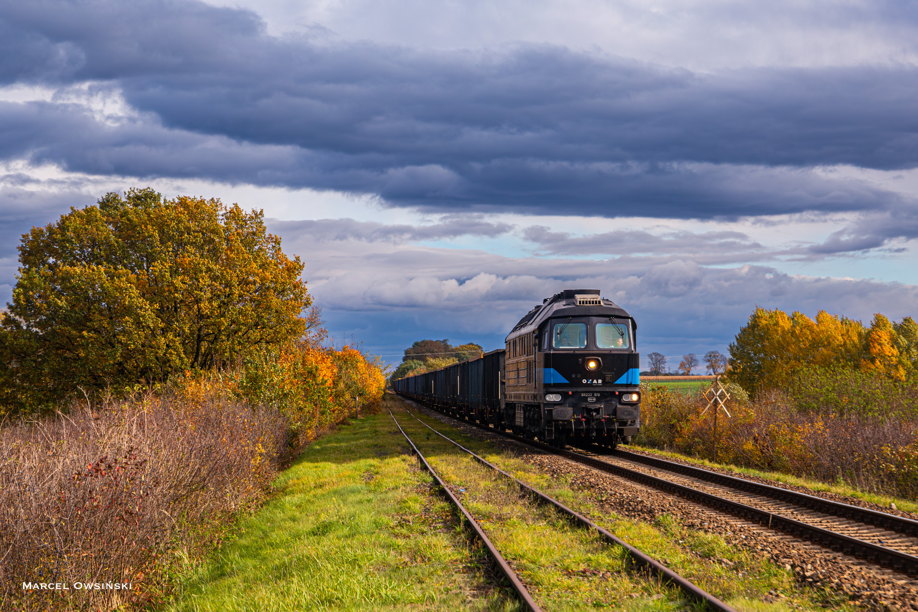 Bartex wśród kolorów jesieni