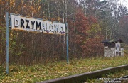 "Ten przystanek Rzym się nazywa!"