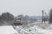 SN81-004