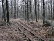 Wąskotorówka na Piaskach Szczygliczce