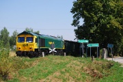 66005