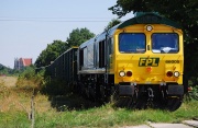 66005