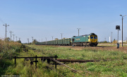 Class 66007 w Sierpcu