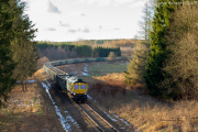 66015