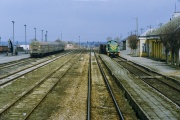 Sokołów Podlaski 1998