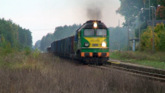 ST44-1110 w Skórce