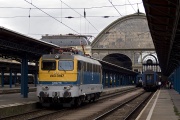 V43 3197