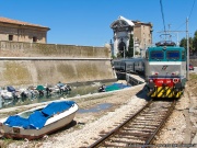 Caiman Between Monuments And Boats