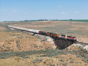 CBRW 651