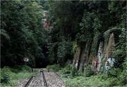 Petite Ceinture [2]