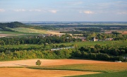 Pour Lordana
