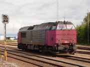 Mz1454