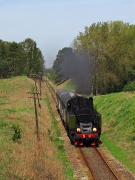 TKt48-191