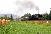 Pt47-112