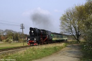 Ol49-69 Wiry