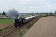 Ko-Piernik 2016