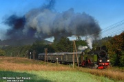 TKt48-191