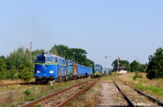 Jeleń