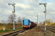 T448p-036