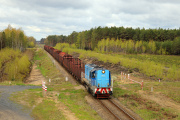 T448p-036