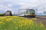 EP07-376 w Różynach