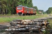 SN83-007 „Leon”