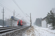 Będzie "tunel" kolejowy w Puszczy Bydgoskiej