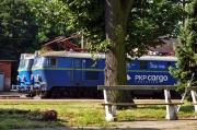 Spotkanie byków w Czerwieńsku