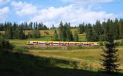 Janosik