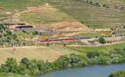 Winnica Quinta da Vacaria 1616