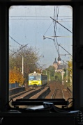 W trasie