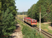 W lesie przed Granowcem