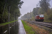 1293 001