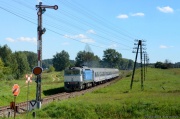 "Kształtowa" Sidra