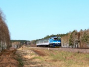 Wiosenny Flisak