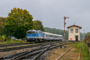 Bory Tucholskie w Zwierzynie