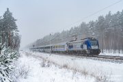 "Podlasiak" we mgle