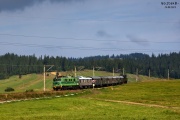 EU06-01