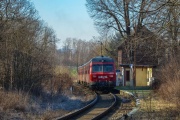 Mucha w Krzyżowej