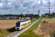 36WEh-017 Pszenno