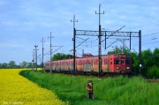 EN71-010